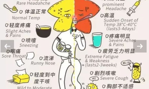 肺结核能吃老母鸡吗-权威肺结核可以吃平台,分享专业肺结核病人能吃桃子吗?知识_肺结核病人能吃老鹅吗网